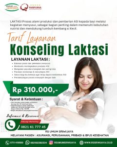 KONSELING LAKTASI
